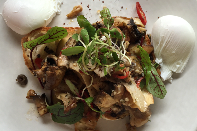 common-galaxia-melbourne-poached-eggs