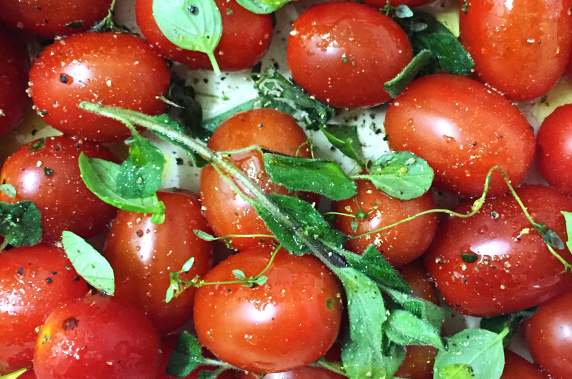 Sascheur-Banner-Landscape-Tomato-Soup