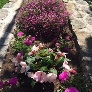 The gardens at the Veljusa Monastery were simple and pretty. The whole place was serene and the simplicity really made it special - read why.